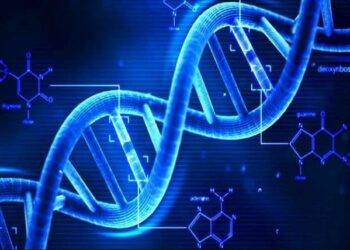 DNA Full Form and RNA Full Form in Hindi