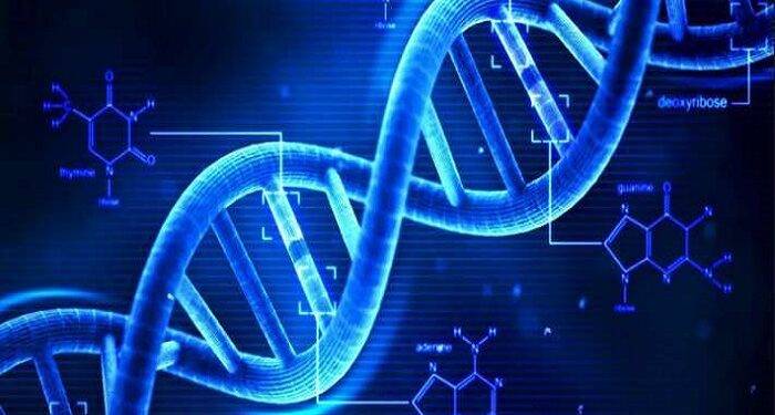 DNA Full Form and RNA Full Form in Hindi