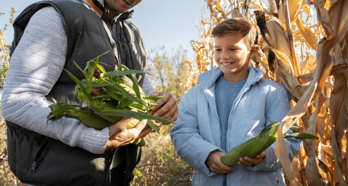 Climate Change and Agriculture: Strategies for Resilient Farming