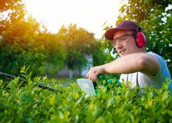 Optimizing Australian Grass with Fertilization Techniques