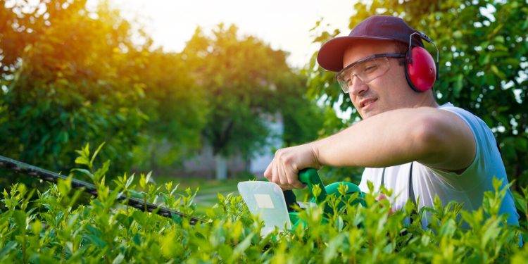 Optimizing Australian Grass with Fertilization Techniques