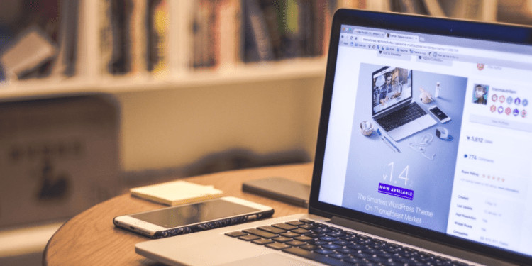 Why Should You Work with an Ecommerce Web Designer in 2025?